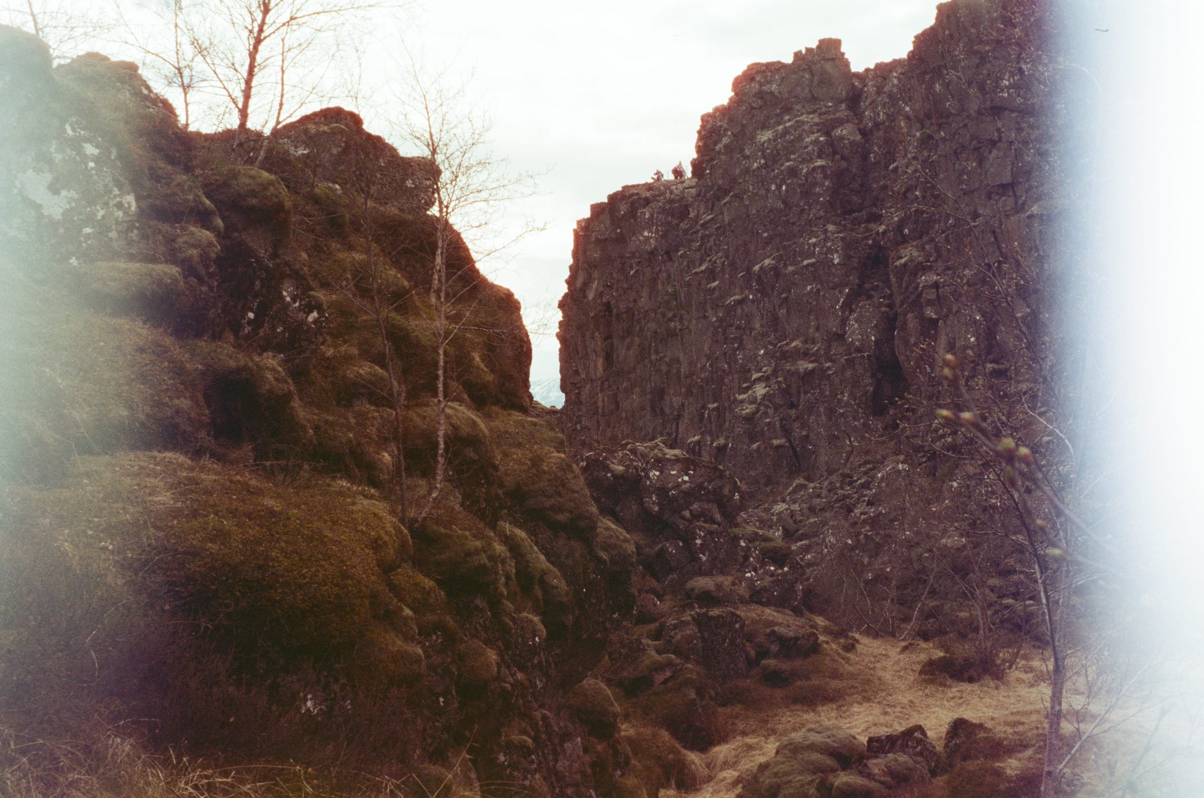 Iceland, Amber D400 frame 8