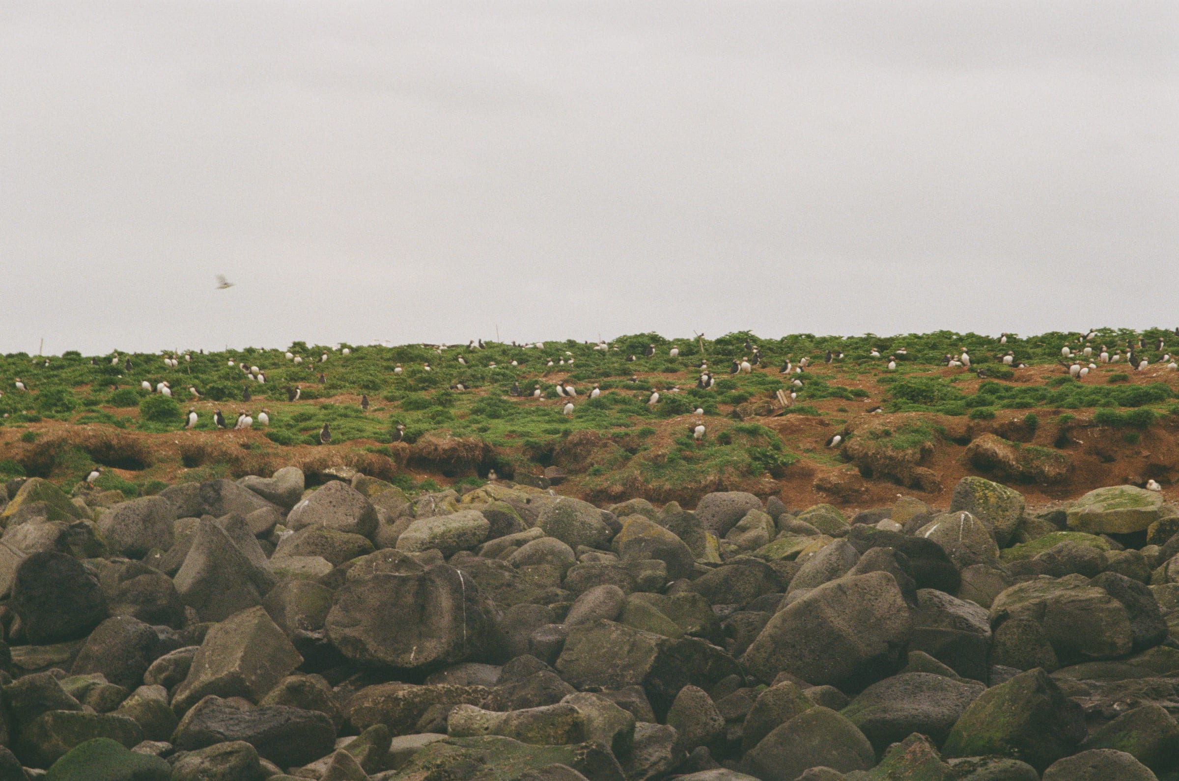 Iceland, Fuji 200 roll 1 frame 1