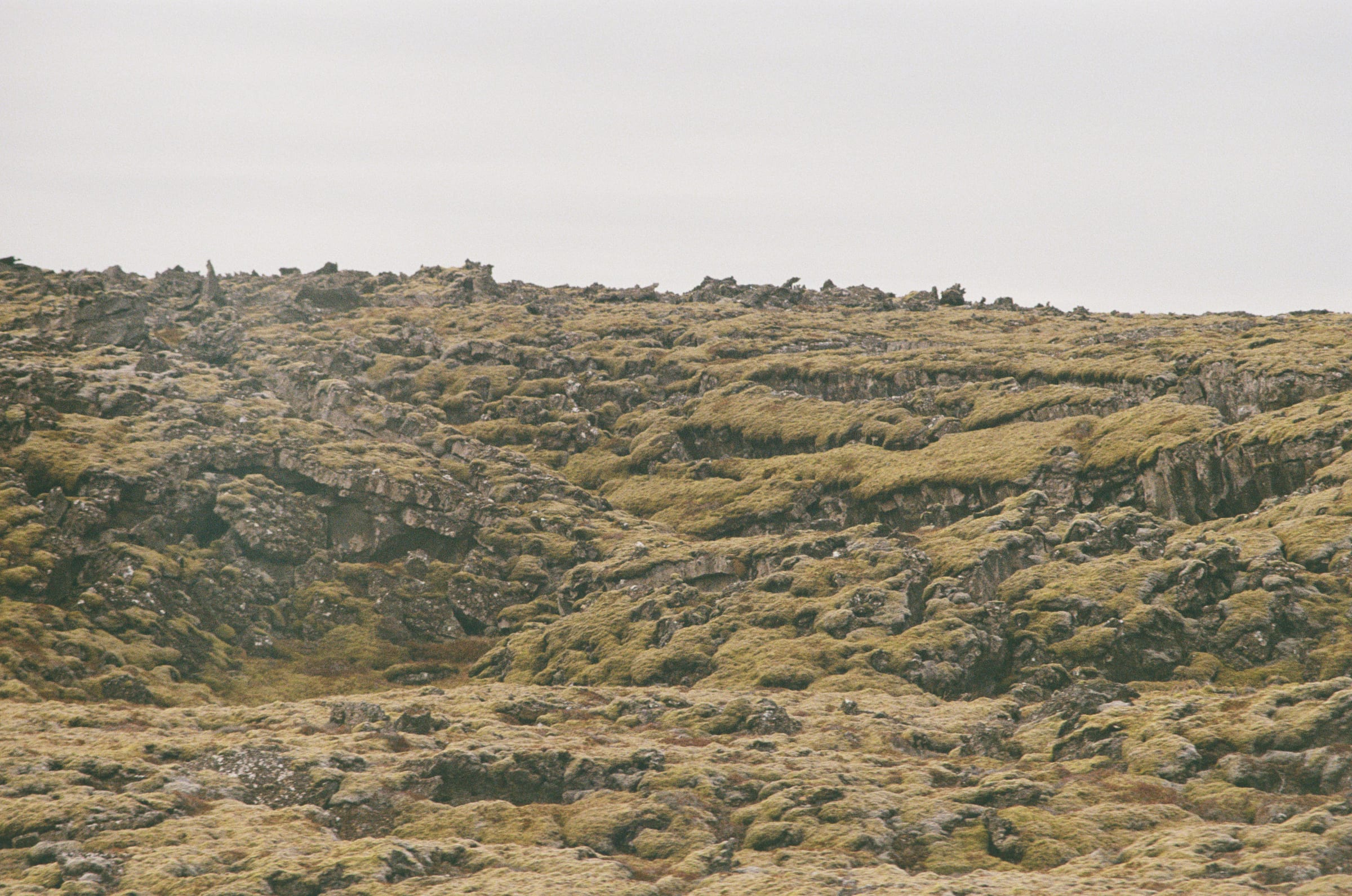 Iceland, Fuji 400 roll 1 frame 32